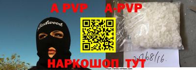 индика Моздок