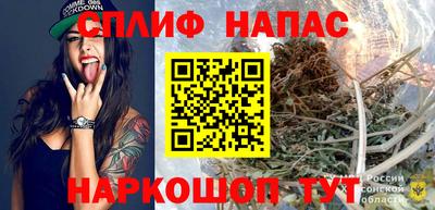 индика Моздок