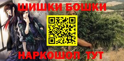 индика Моздок