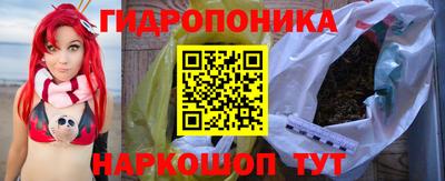индика Моздок