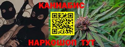 индика Моздок